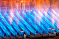 Goferydd gas fired boilers